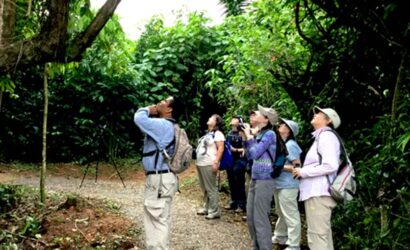 belize birding package