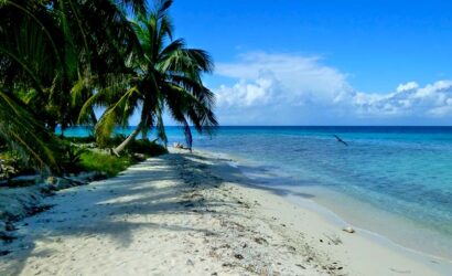 Belize Jungle Sea Tour