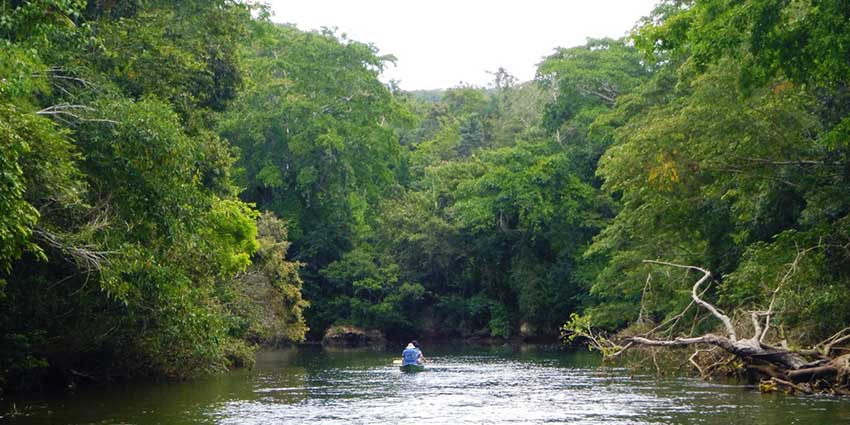 macal river canoeing