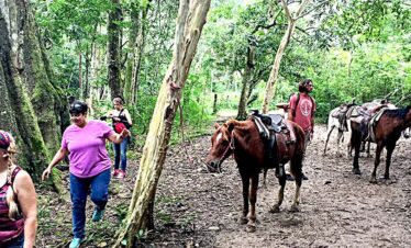 Belize Horseback Riding
